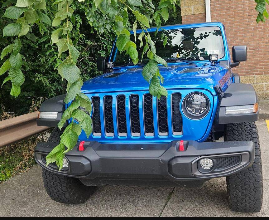 Jeep Wrangler JL My Jeep doing a Homer Simpson impression 1724341256413-pw