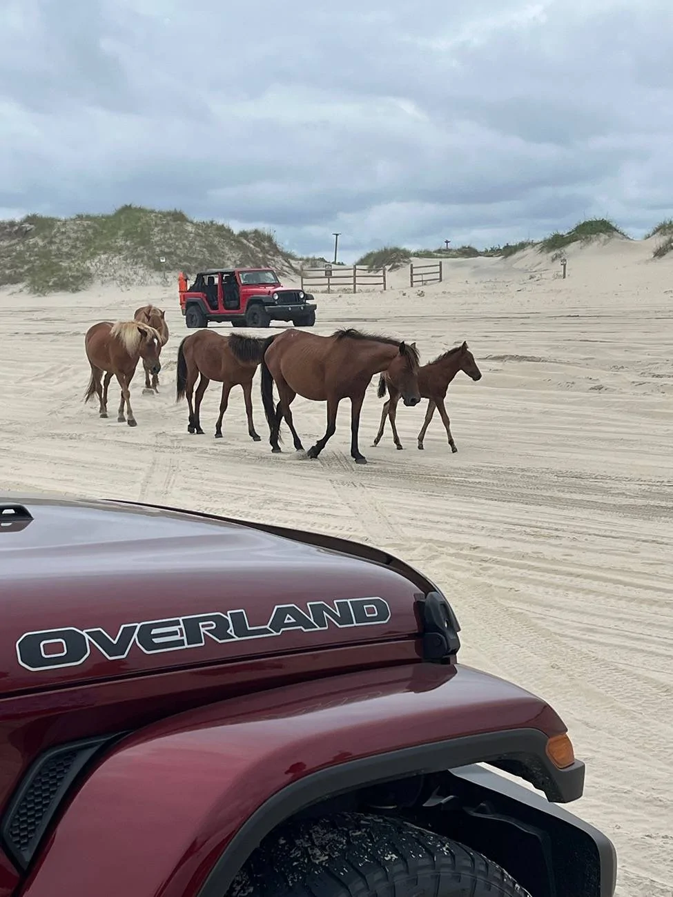 Jeep Wrangler JL Driving on the beach, concerns. IMG_1356