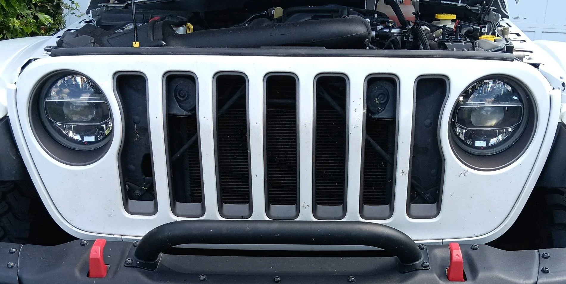 Jeep Wrangler JL Going Postal Edition 1000039252