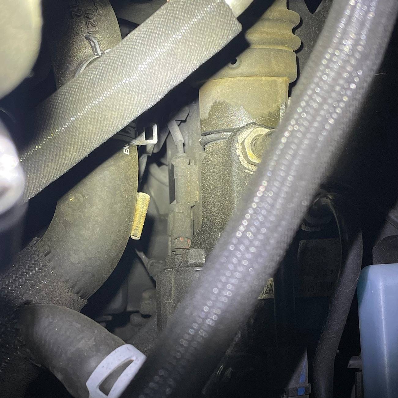 Jeep Wrangler JL Do I have an oil leak? IMG_6830
