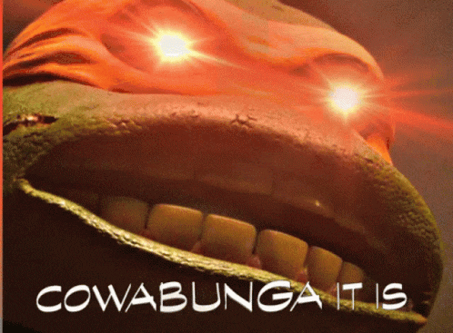 Jeep Wrangler JL Got a warning for no mirrors. TMNT Cowabunga It Is
