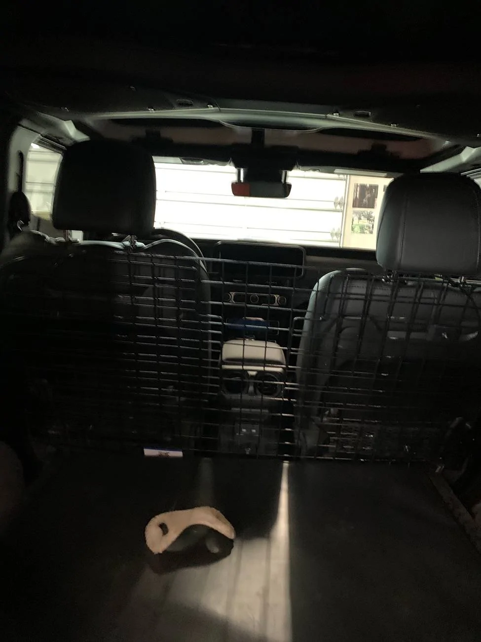 Jeep Wrangler JL 2024 Rubicon X Dog Set Up 08F71B6B-6C45-4B00-B866-12F98911D699