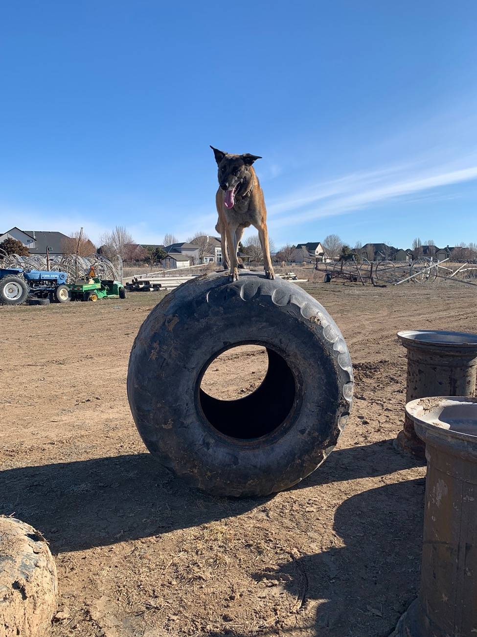 Jeep Wrangler JL 2024 Rubicon X Dog Set Up 80AA4CD6-6424-4AAB-AA2E-EFEA0E8816CD