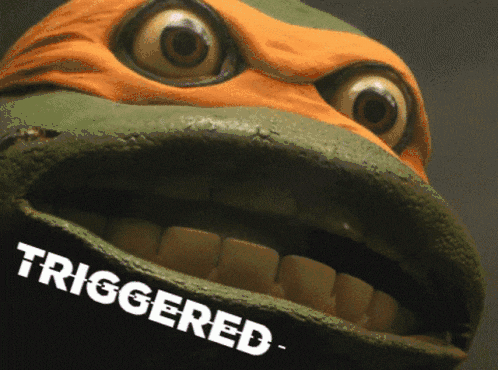 Jeep Wrangler JL Mods please delete TMNT Triggered