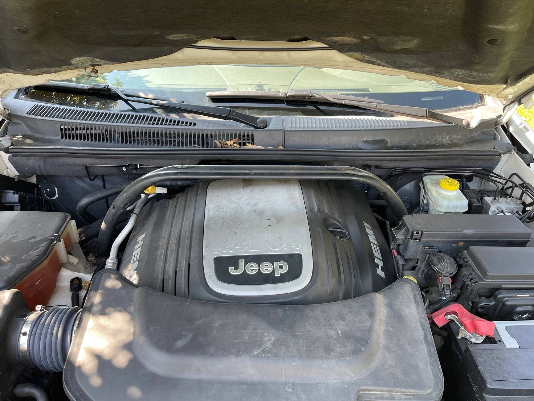Jeep Wrangler JL Please delete IMG_2944