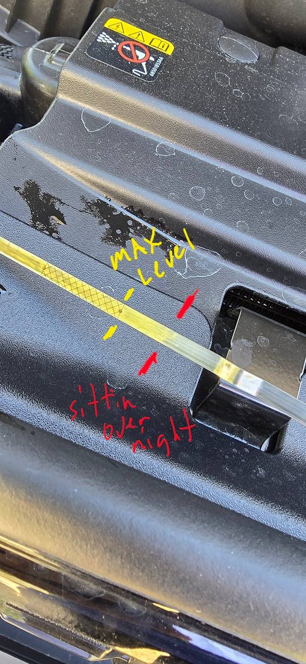 Jeep Wrangler JL Over filled engine oil 2.0 engine 1000010215