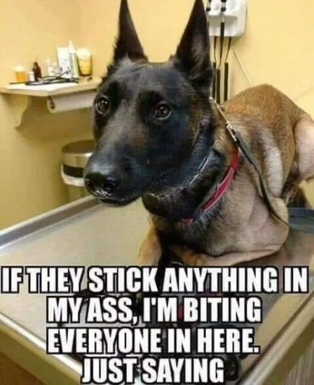 Jeep Wrangler JL Jeep humor waiting room ( ** NO POLITICS ** ) AFEBB9A5-1D37-4173-8C49-FFD2F9C3B9F4