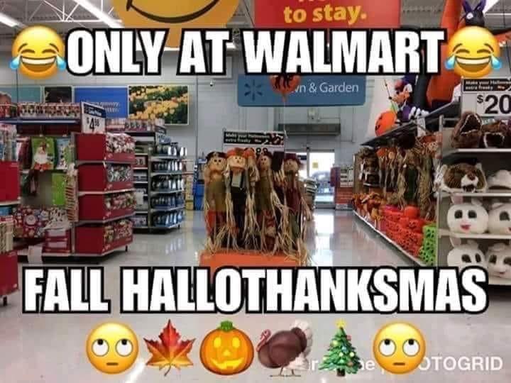 23F68C79-4178-4D67-9BF3-F22C15A9D177.jpeg