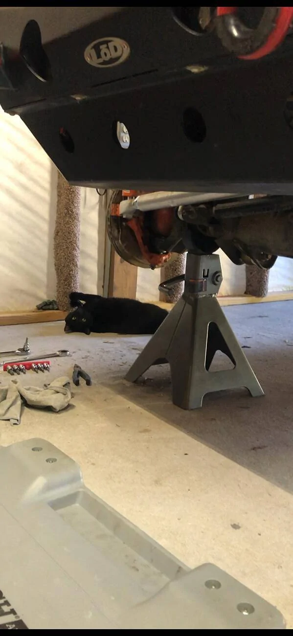 Jeep Wrangler JL Tie rod & Drag link install. IMG_0300