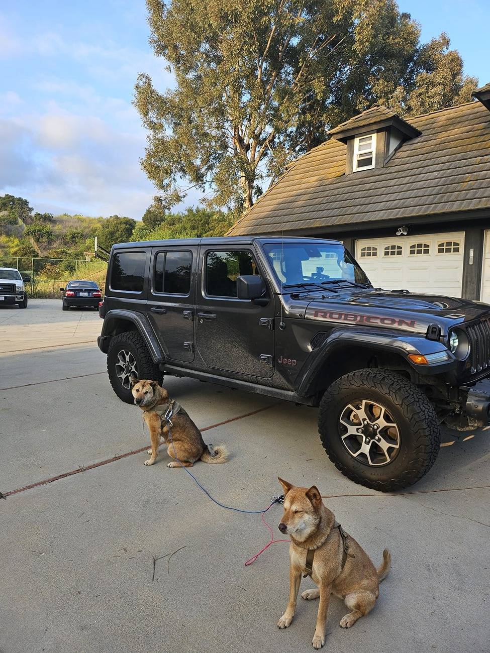 Jeep Wrangler JL Ecodiesel Build - Part 2 IMG-20240520-WA0002