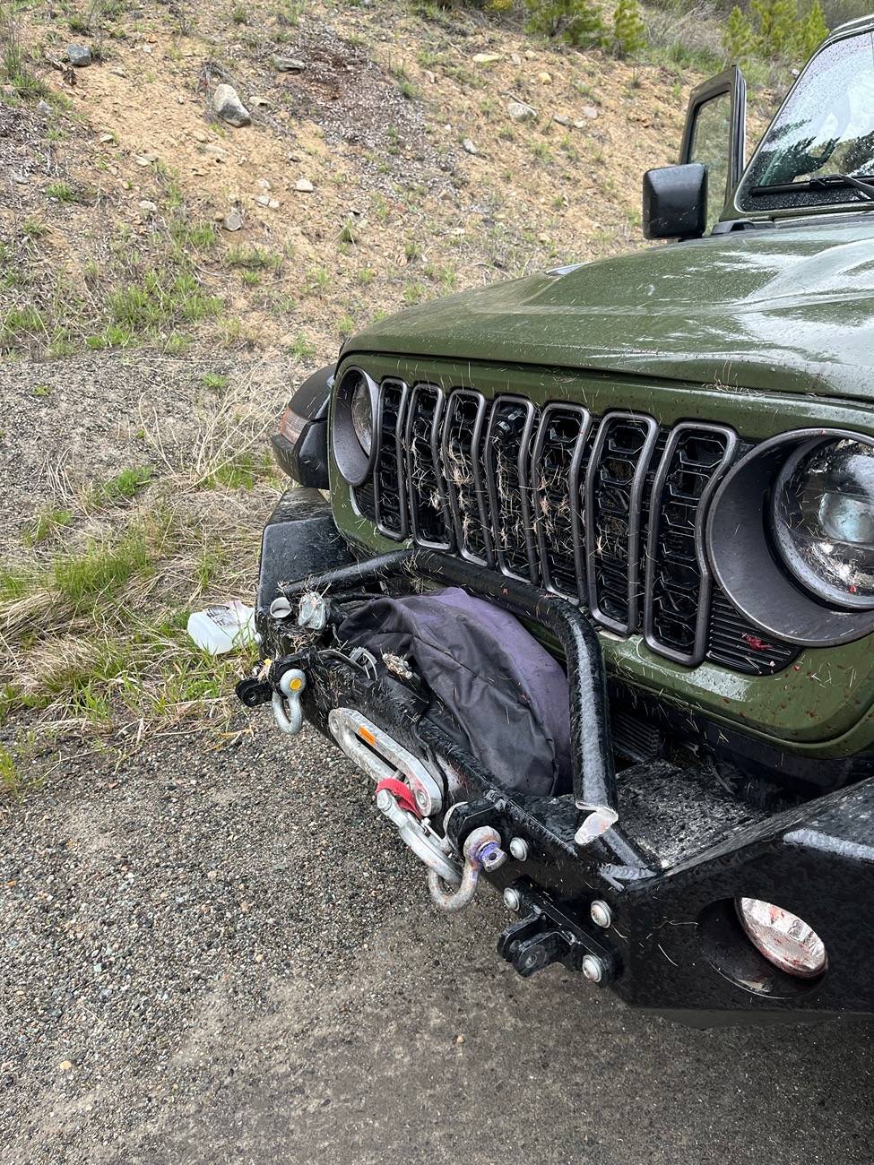 Jeep Wrangler JL Haven't hit a deer yet IMG_7232