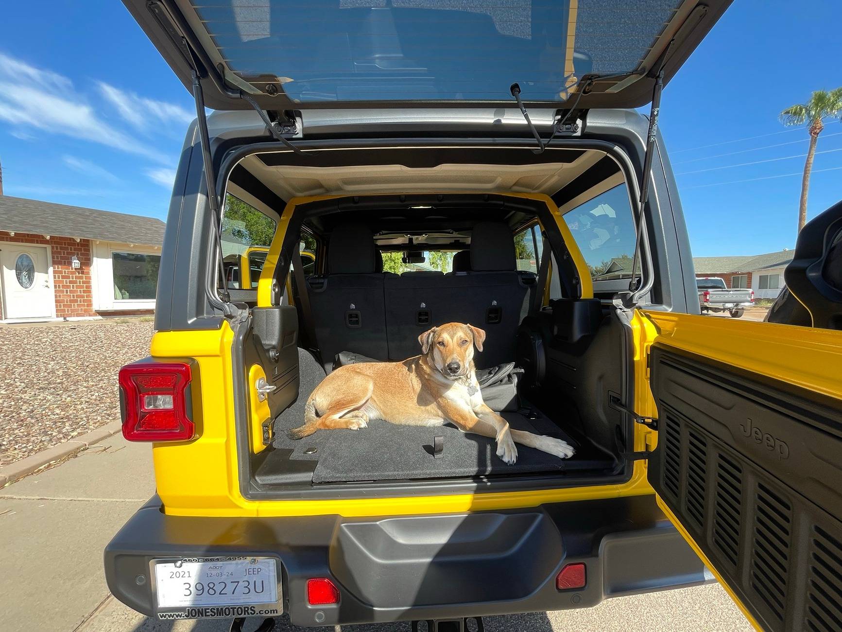 Jeep Wrangler JL Introductions & Welcome Thread 👋 Image (25)