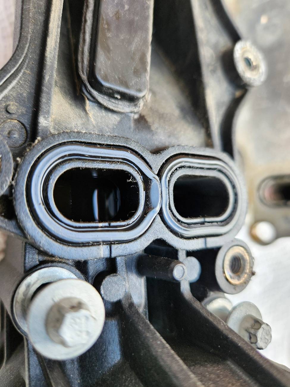 Jeep Wrangler JL V6 engine issues 20240301_155435