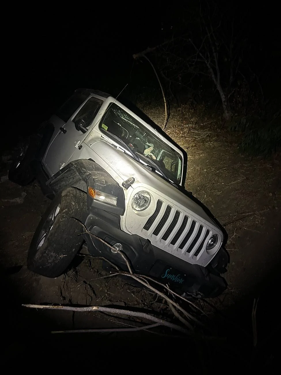 Jeep Wrangler JL 2020 Jeep JL rollover IMG_9751