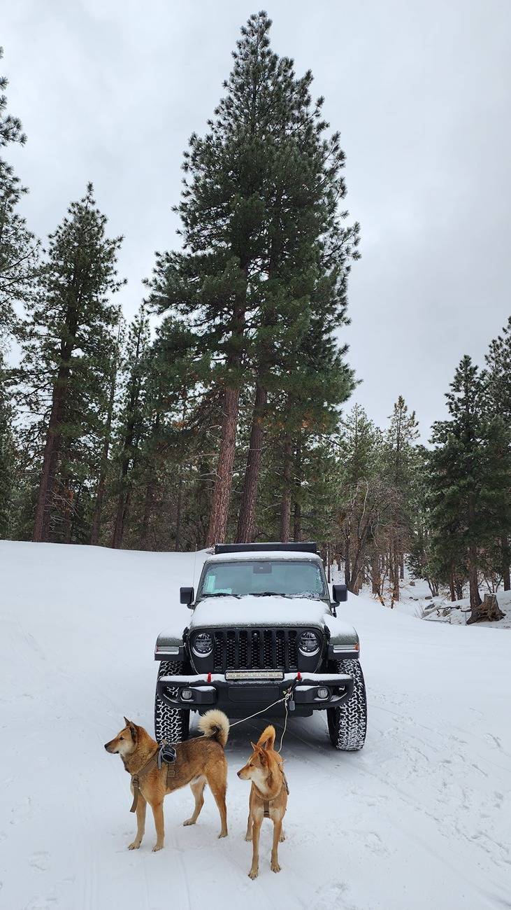 Jeep Wrangler JL Ecodiesel Build - Part 2 20230222_114552