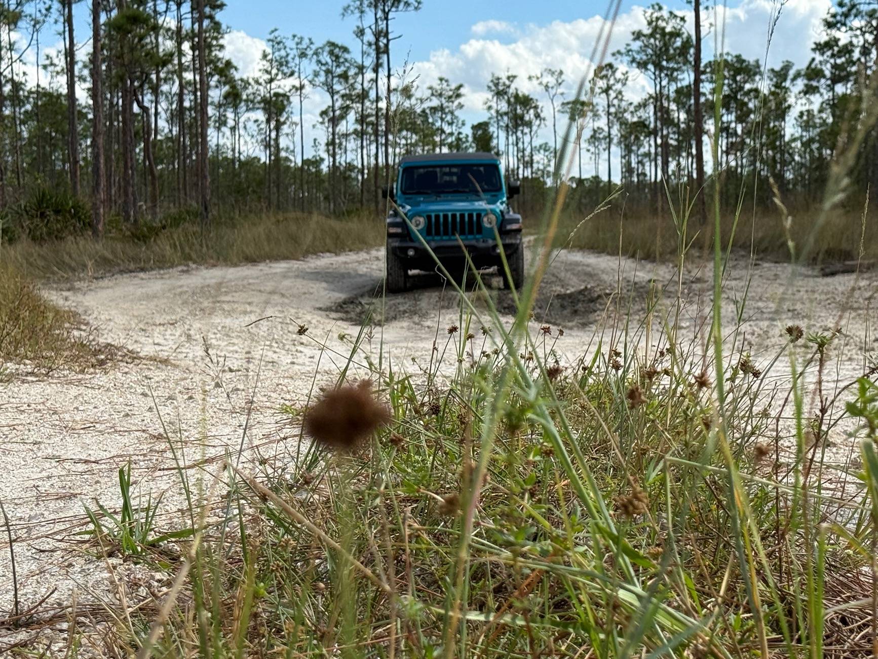 Jeep Wrangler JL Florida Roll Call! IMG_0389