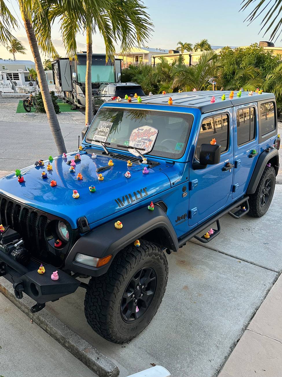Jeep Wrangler JL I've been ducked! IMG_0902