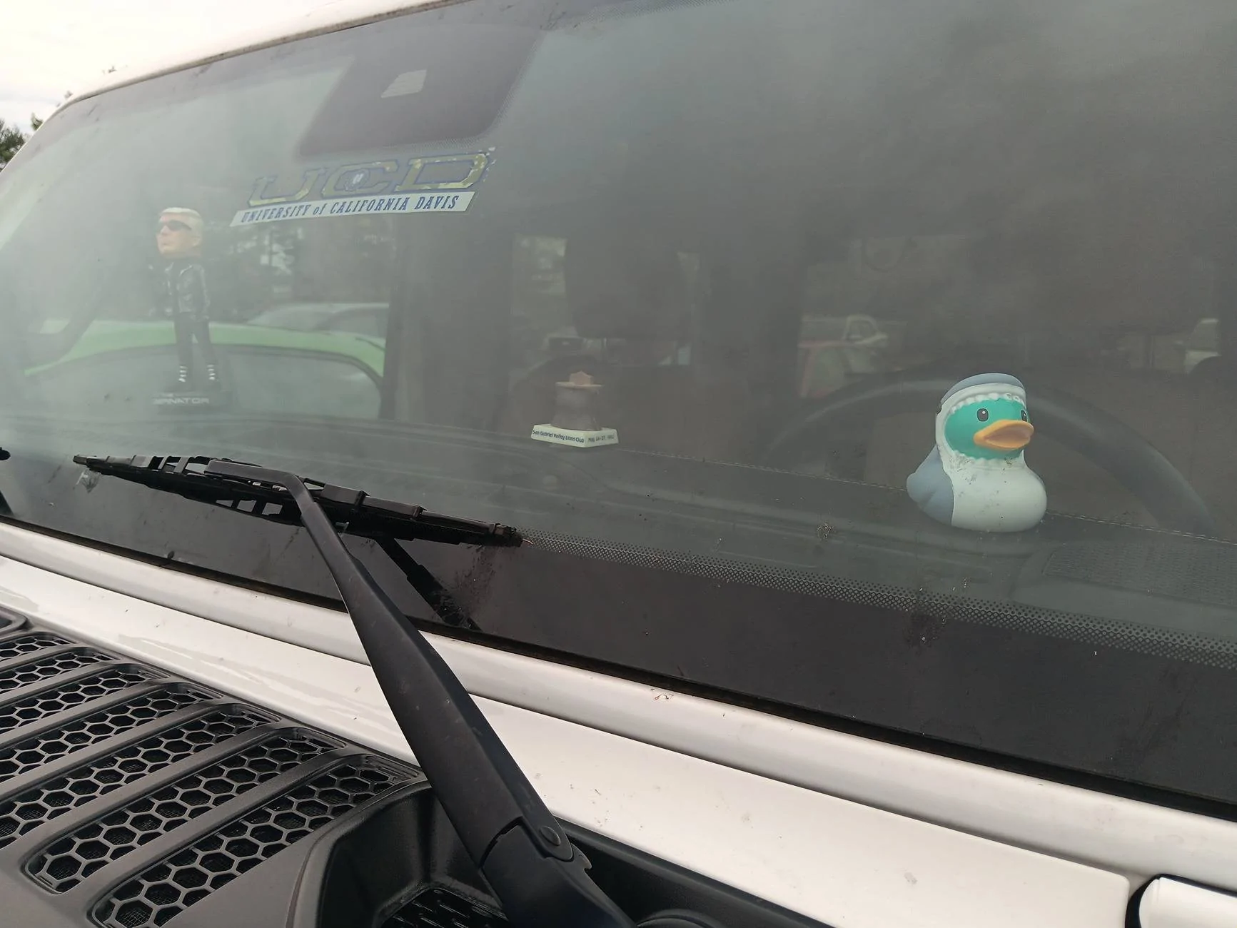 Jeep Wrangler JL Everything is just ducky 1000040384