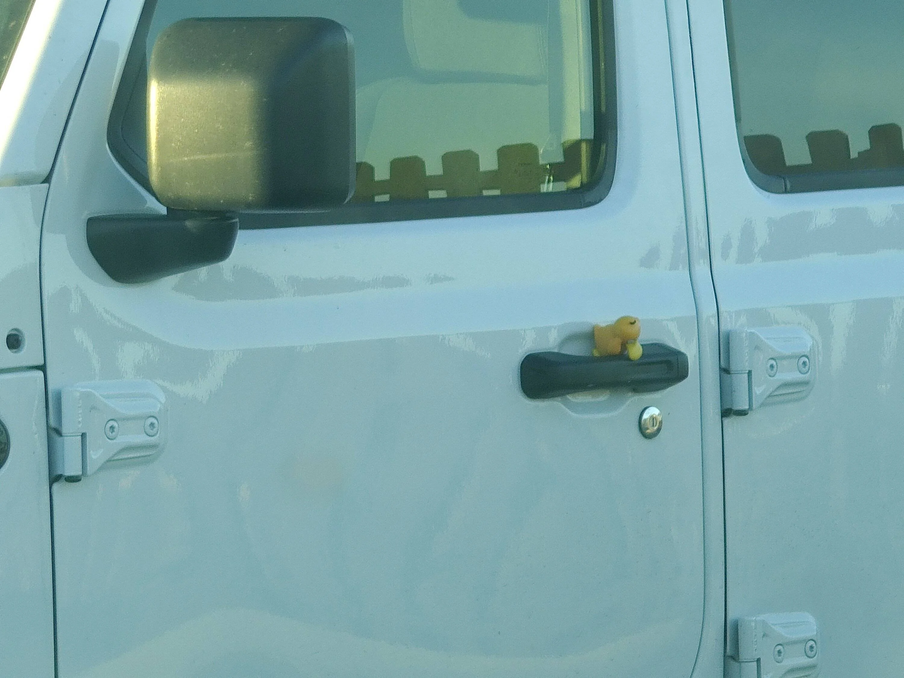 Jeep Wrangler JL DUX SUX: HYPOCRISY AT IT'S FINEST 1000005871