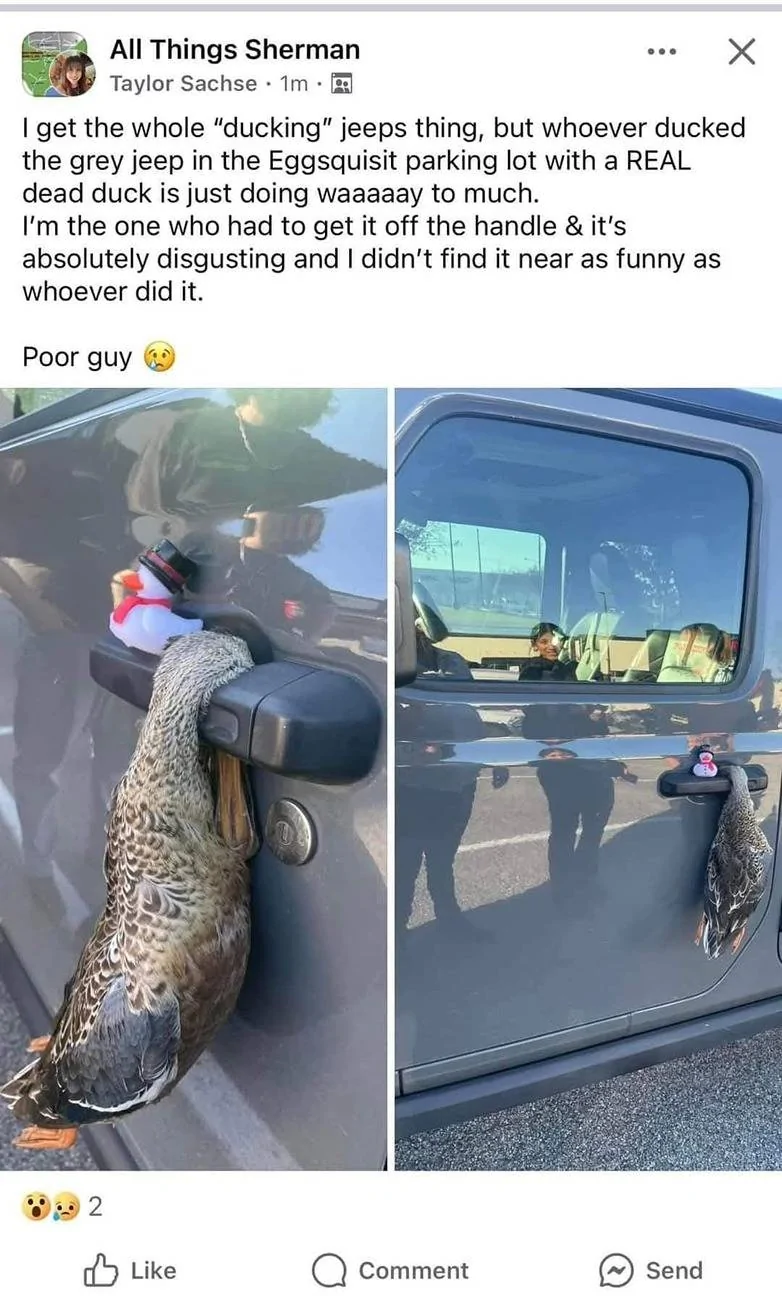 Jeep Wrangler JL All the Ducking Hate.....PSA JeepDuck