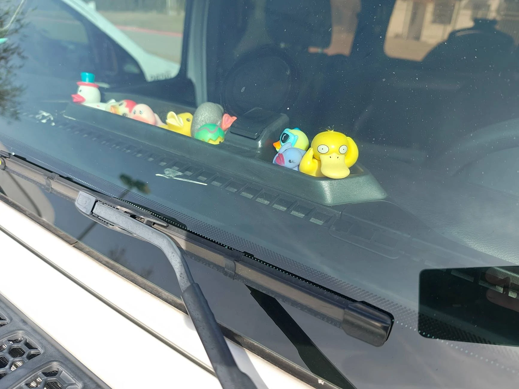 Jeep Wrangler JL DUX SUX: HYPOCRISY AT IT'S FINEST 1000006374
