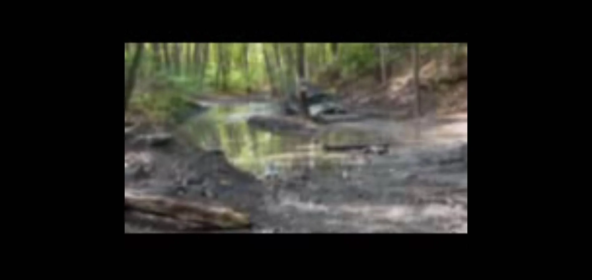 Jeep Wrangler JL Recommend a product to clean engine bay Screenshot_20241006-184440_Video Player