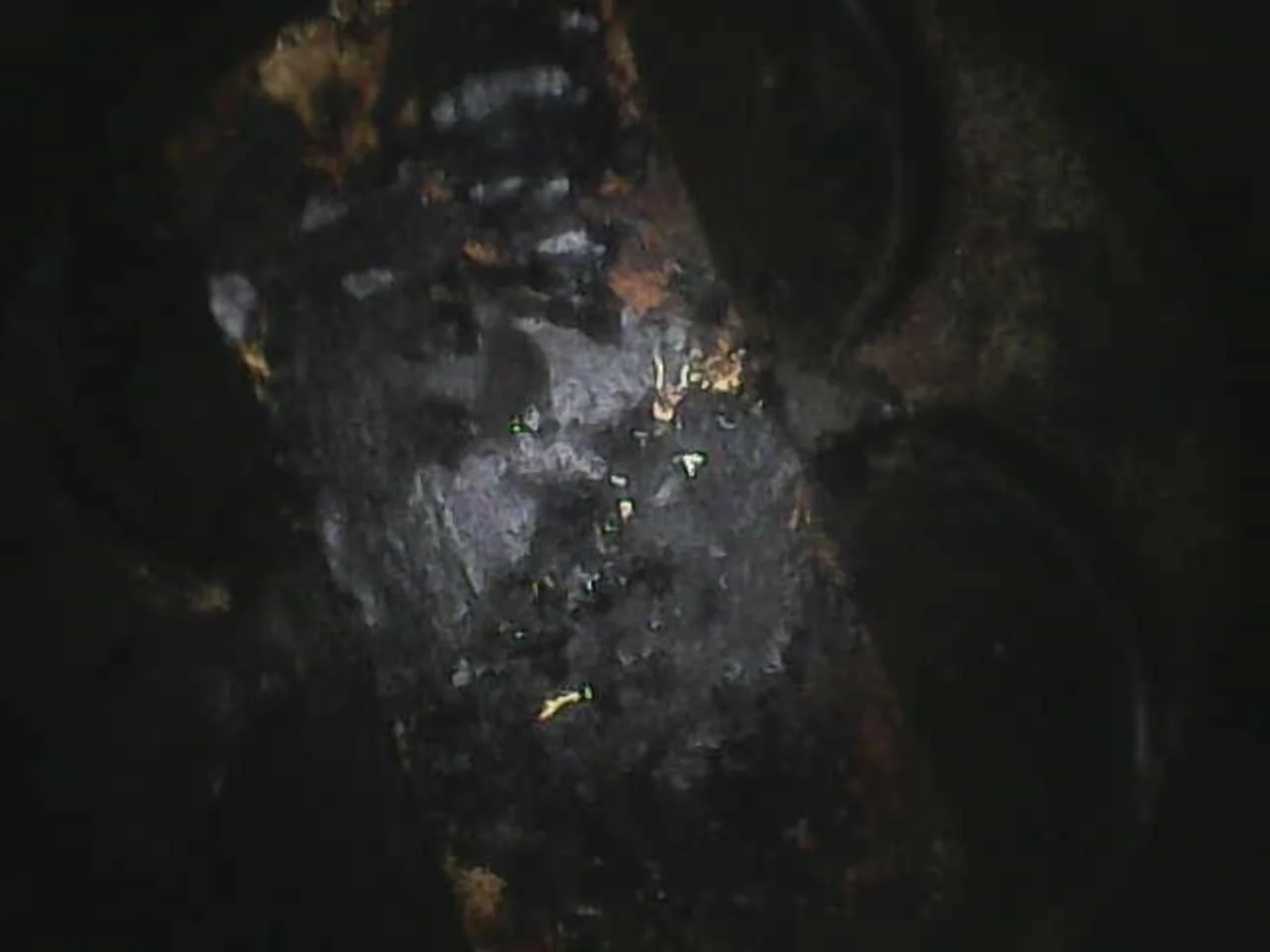Jeep Wrangler JL Engine Noise - afraid to ask Image_2024-12-19 18_13_09_432
