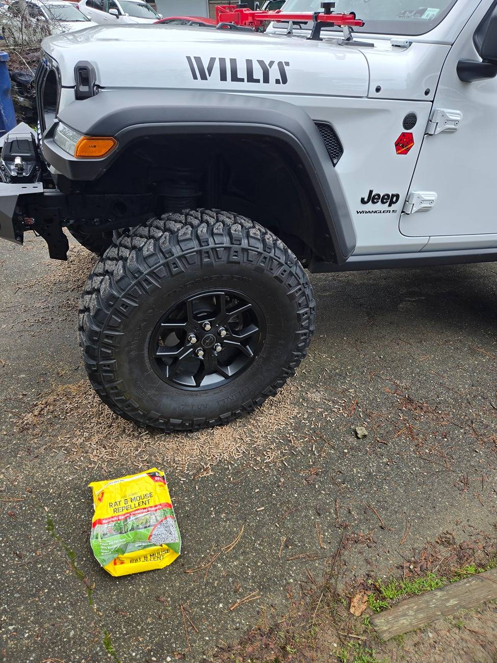 Jeep Wrangler JL Is this how WOT is done? 20241224_103346