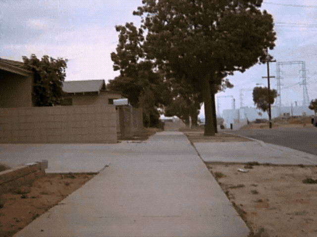 giphy.gif