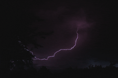 4E9E1CAD-2250-4F14-84FD-436BD9B98F4C.gif
