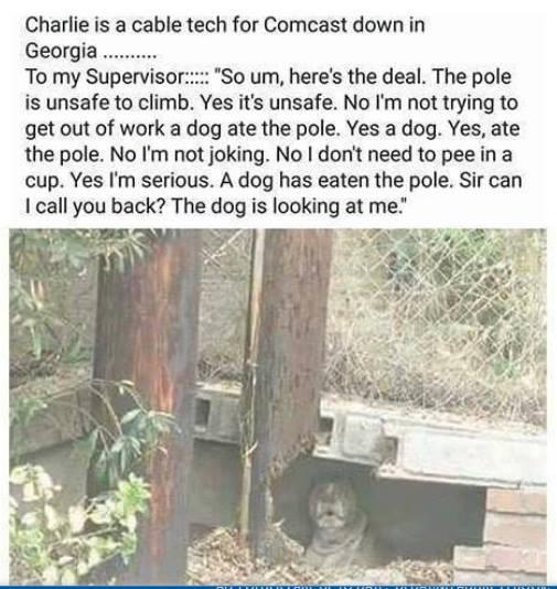 6EAB99E9-F50C-4CED-A710-5541FE08F588.jpeg