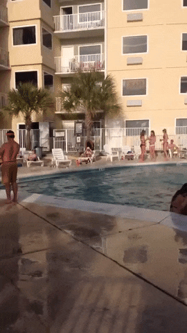 giphy.gif