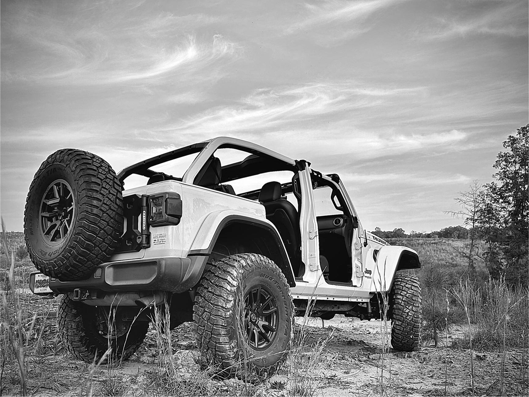 Jeep Wrangler JL Wrangler JL tailgate hinges, support weight IMG_0777
