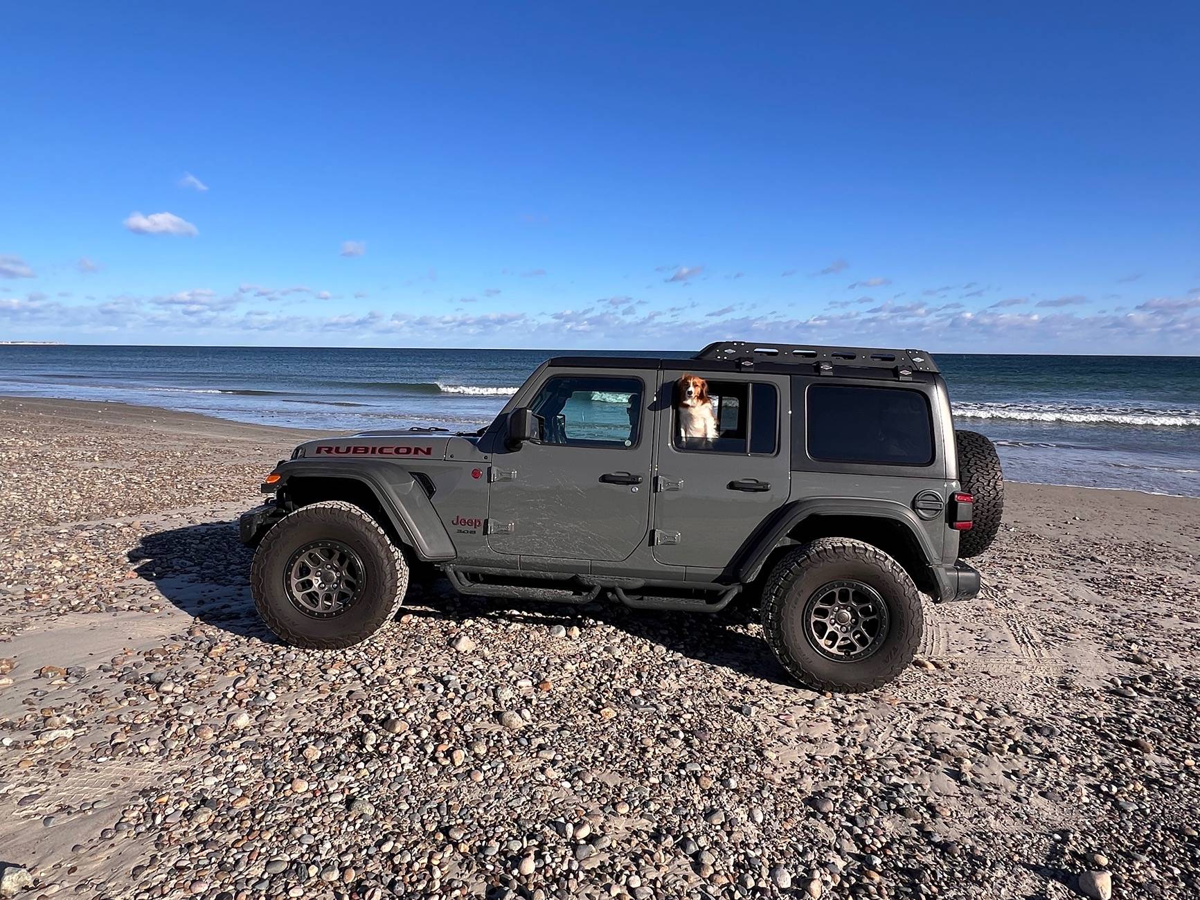 Jeep Wrangler JL Jeep Dog pics IMG_3835