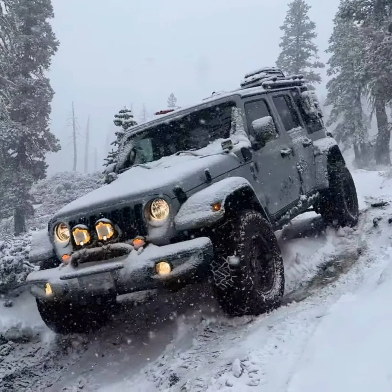 Jeep Wrangler JL Wheeling in snow & ice = Abort! 1000023714