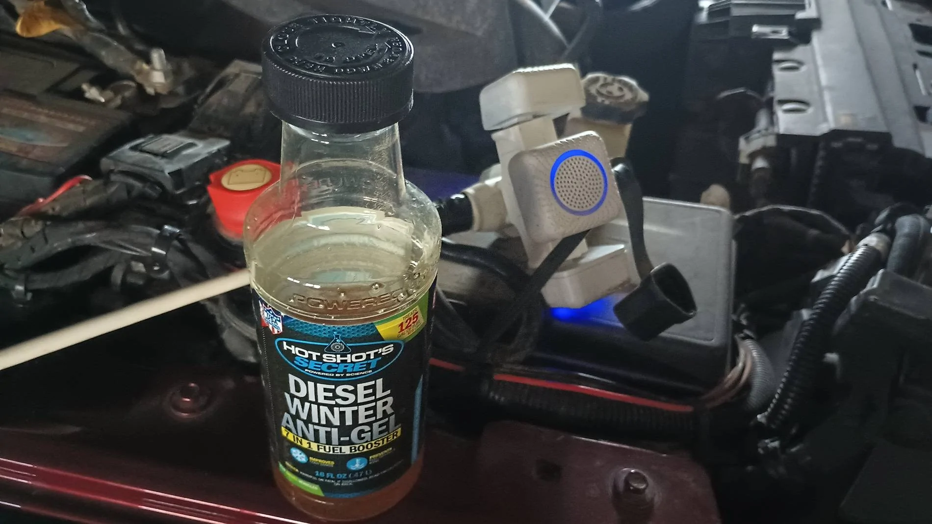 Jeep Wrangler JL Diesel cold start struggle 1737561274035-tk