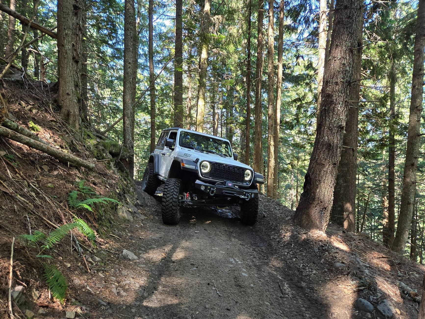Jeep Wrangler JL Jeep is precious, appreciate it 20240804_121741