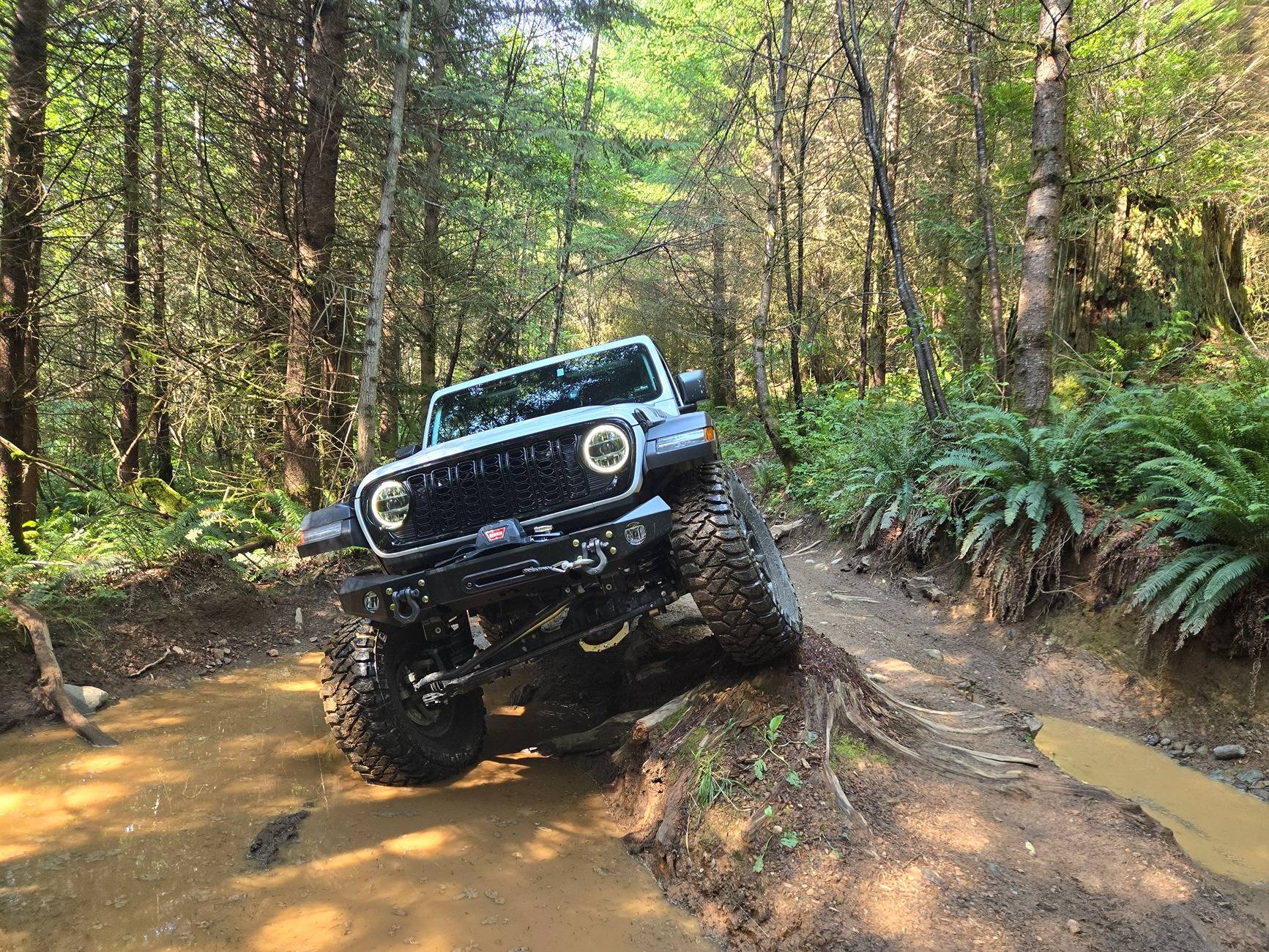 Jeep Wrangler JL Jeep is precious, appreciate it 20240801_160529