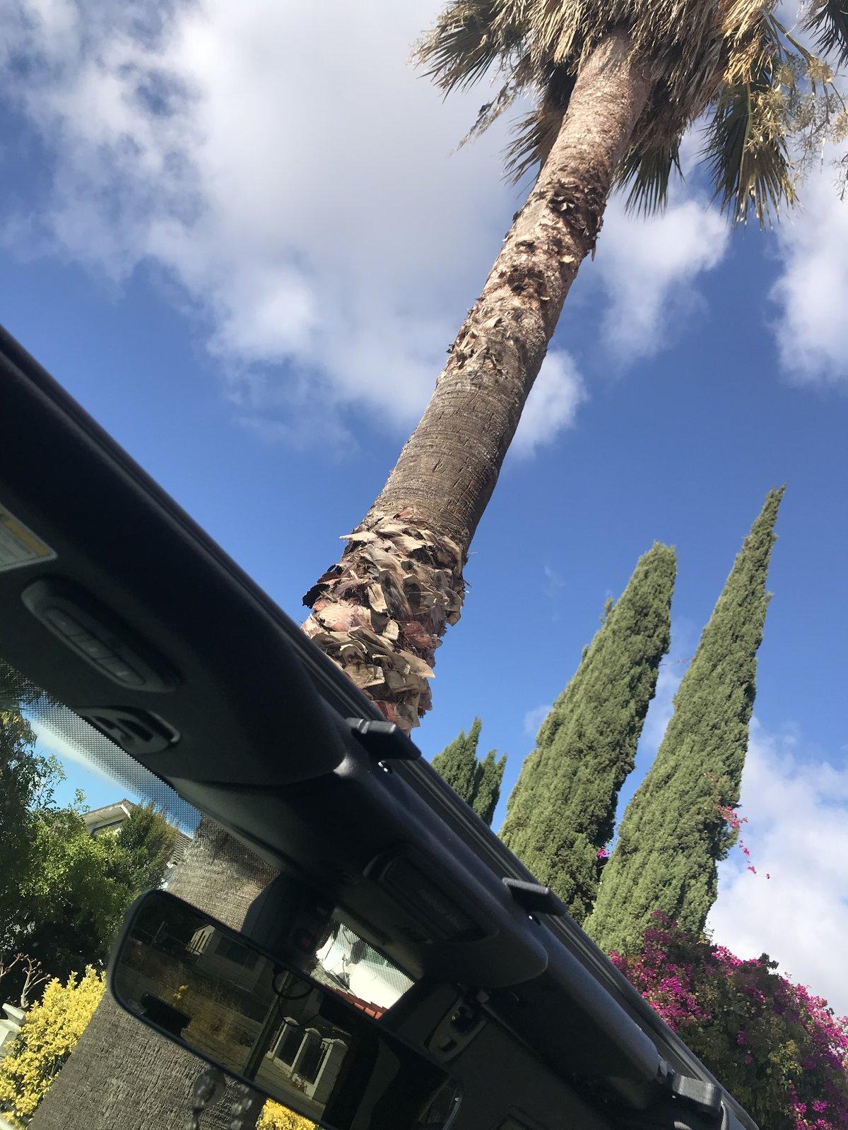 Jeep Wrangler JL What did you do WITH your Jeep today. DCBEB23D-774F-43C3-A563-008C18DE3658