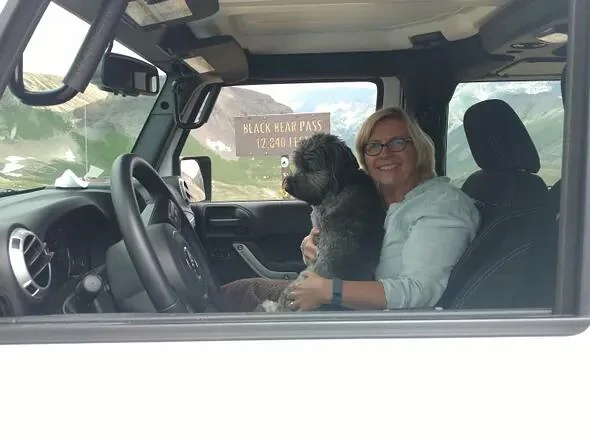Jeep Wrangler JL JEEP DOGS / JEEP PETS. tempImagezxPIxg