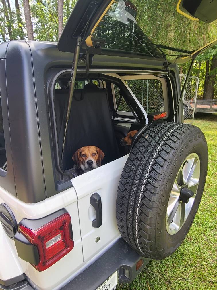 Jeep Wrangler JL JEEP DOGS / JEEP PETS. IMG_1413