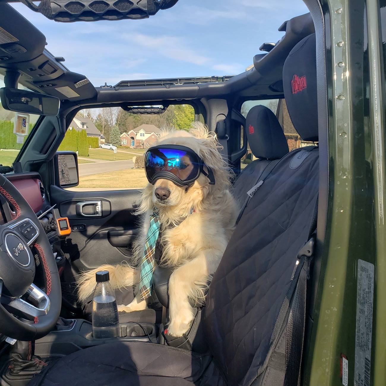 Jeep Wrangler JL JEEP DOGS / JEEP PETS. 20210330_173328