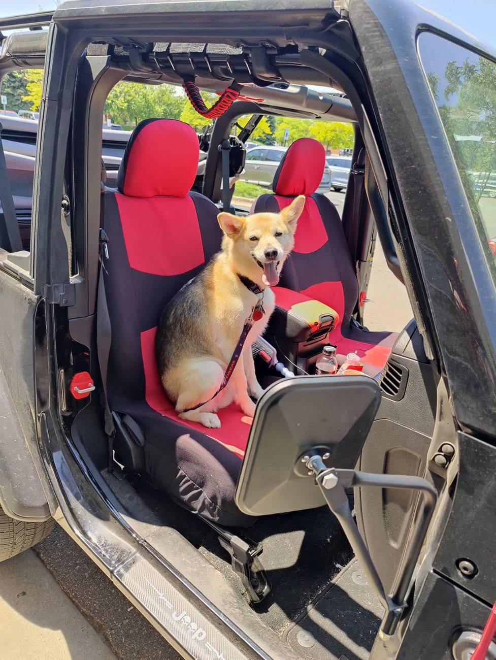 Jeep Wrangler JL JEEP DOGS / JEEP PETS. IMG20240519125547