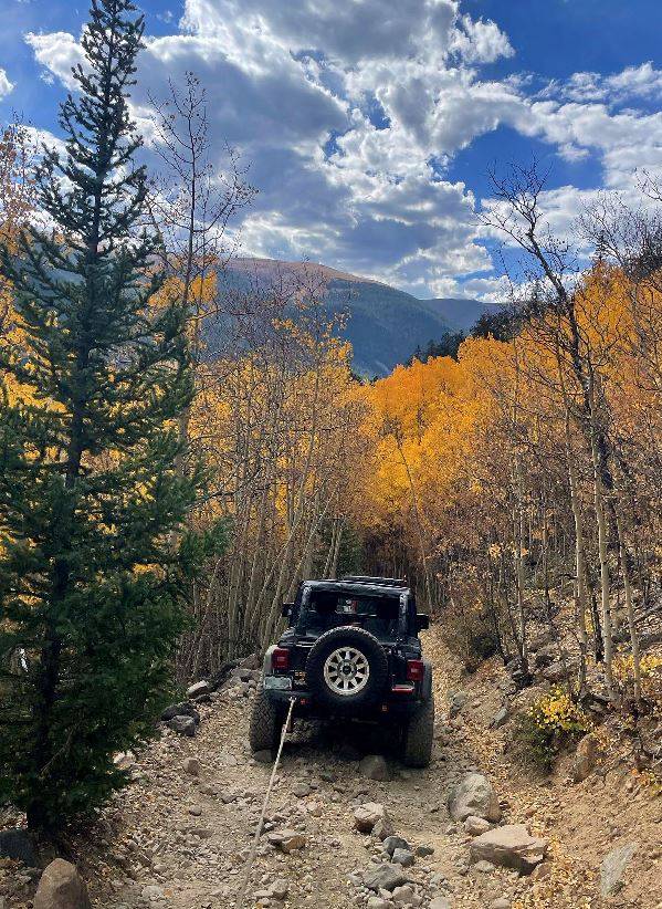 Jeep Wrangler JL Poll:  Has your JL left you stranded?  please explain Capture2.JPG