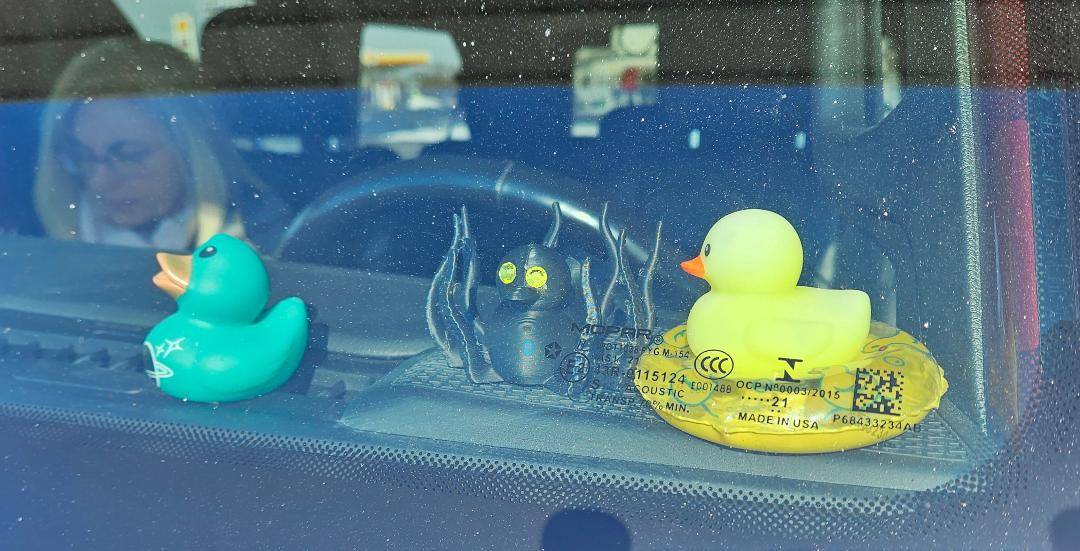 Jeep Wrangler JL I Got My First Duck! Ducky