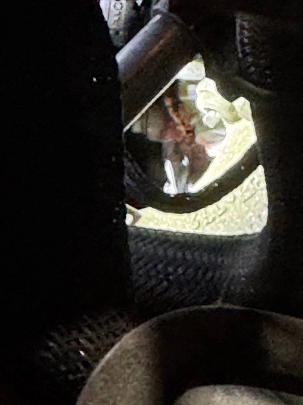 Jeep Wrangler JL 2.0L Water Leak IMG_2865