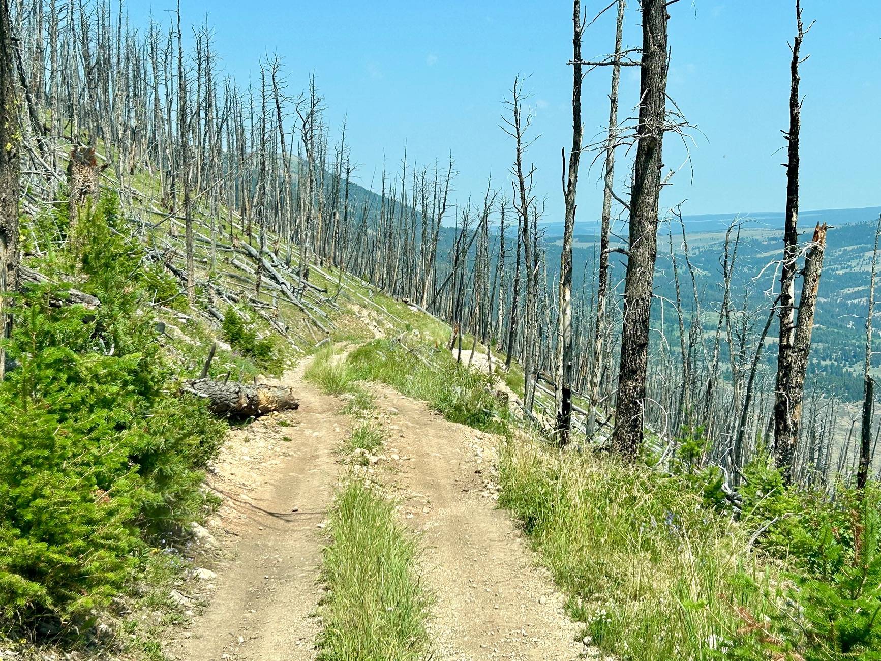 Jeep Wrangler JL Off roading in Montana IMG_4585