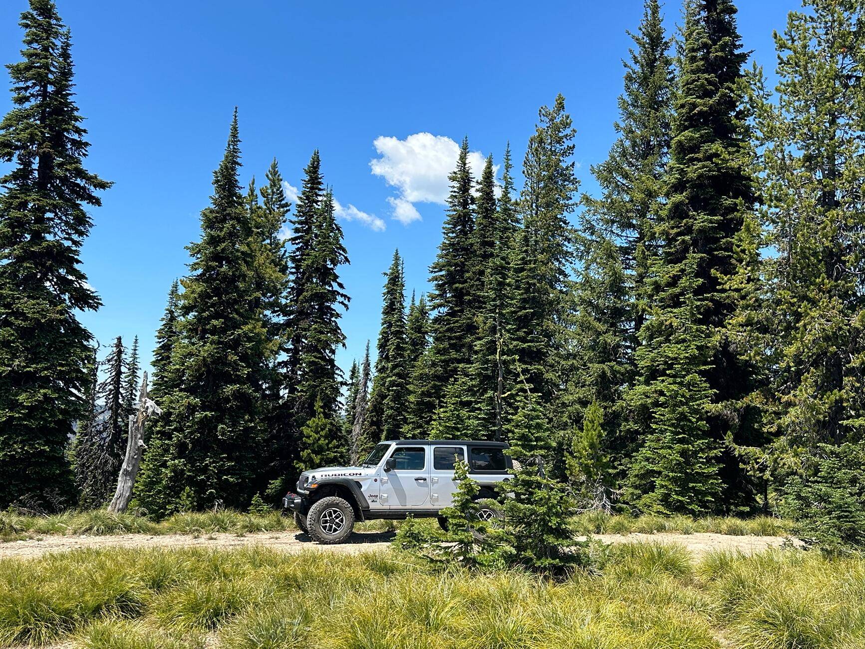 Jeep Wrangler JL Off roading in Montana tempImageyQQhVO