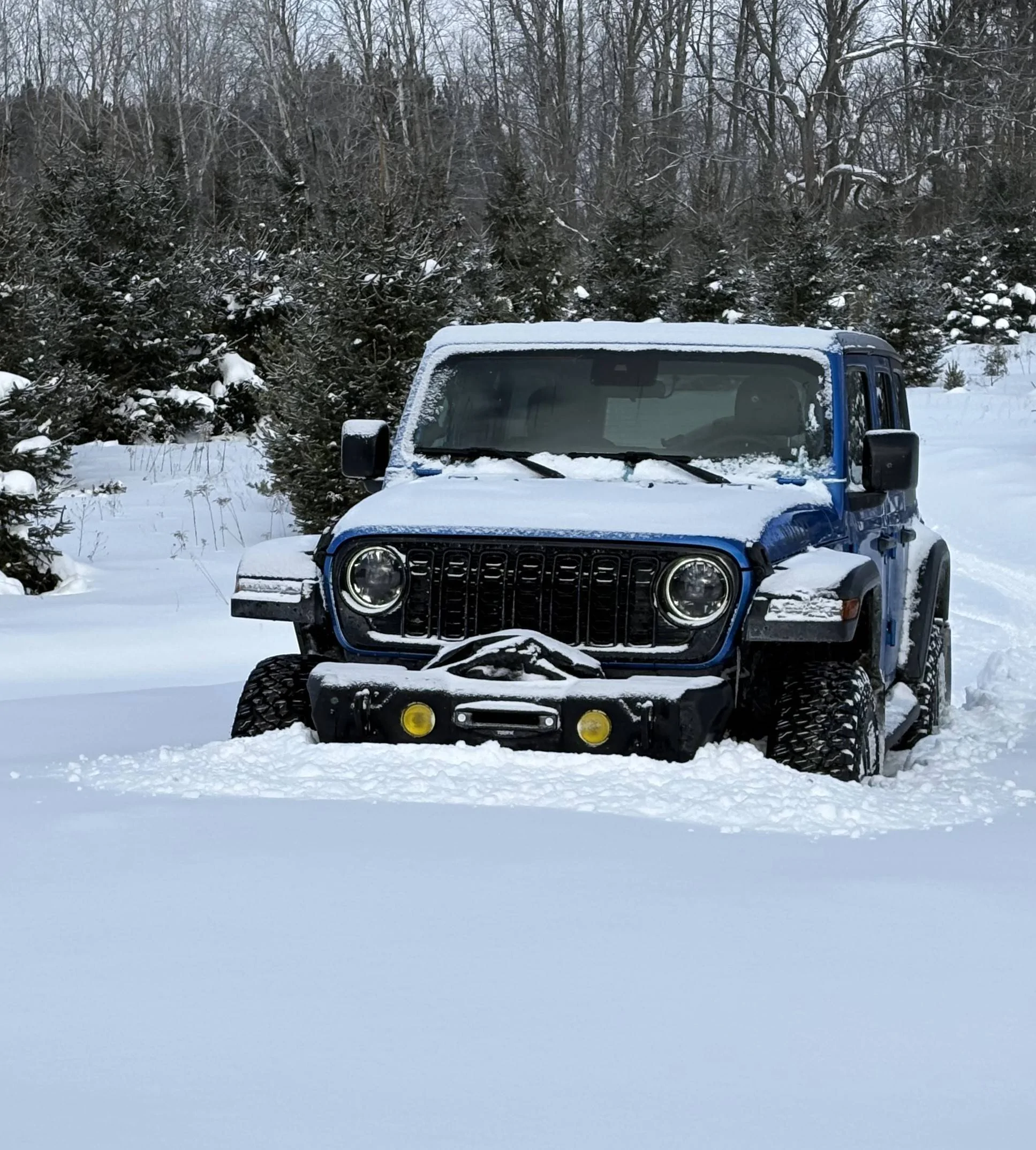 Jeep Wrangler JL Willy It Is Winter aa45
