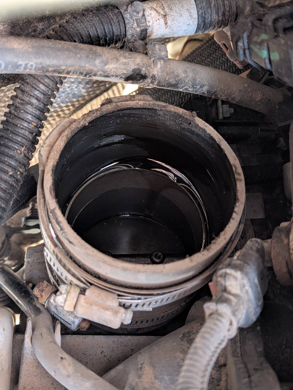 Jeep Wrangler JL Blue Smoke - Identifying Problem PXL_20250308_233538502.NIGHT
